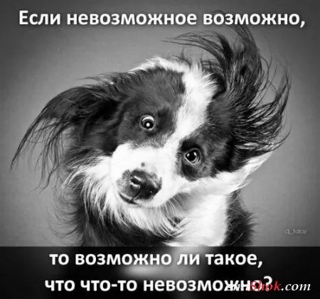 Афоризмы, цитаты в фотографиях.