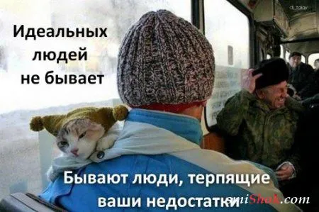 Афоризмы, цитаты в фотографиях.