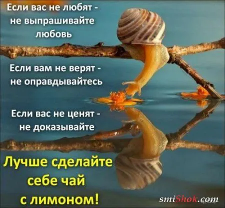Афоризмы, цитаты в фотографиях.