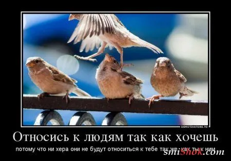 Демотиваторы... выходные... приколы...