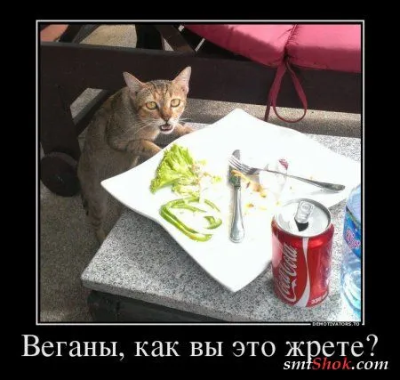 Демотиваторы... выходные... приколы...