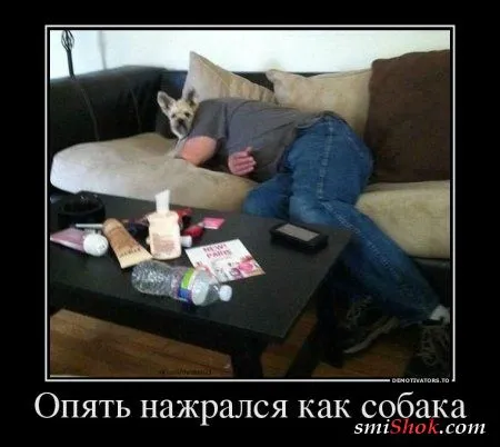 Демотиваторы... выходные... приколы...