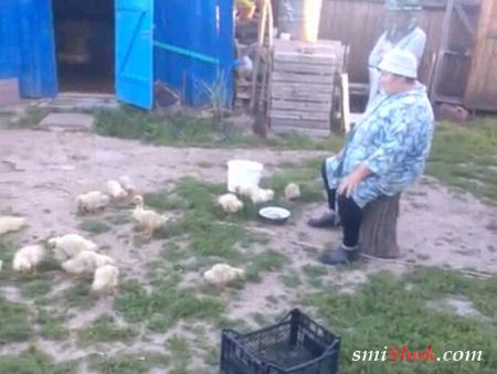 Бабушка из деревни строит уток