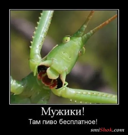 Демотиваторы это веселые картинки и надписи (30 штук)