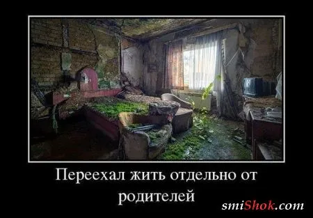 Демотиваторы это веселые картинки и надписи (30 штук)