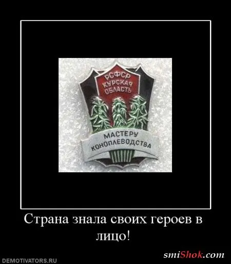 Демотиваторы, ну как обычно картинки веселые там в черных рамках...