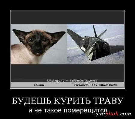 Демотиваторы, ну как обычно картинки веселые там в черных рамках...