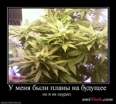 Демотиваторы, ну как обычно картинки веселые там в черных рамках...