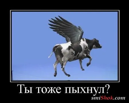 Демотиваторы, ну как обычно картинки веселые там в черных рамках...