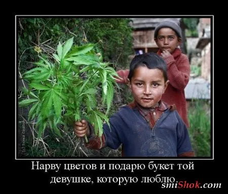 Демотиваторы, ну как обычно картинки веселые там в черных рамках...