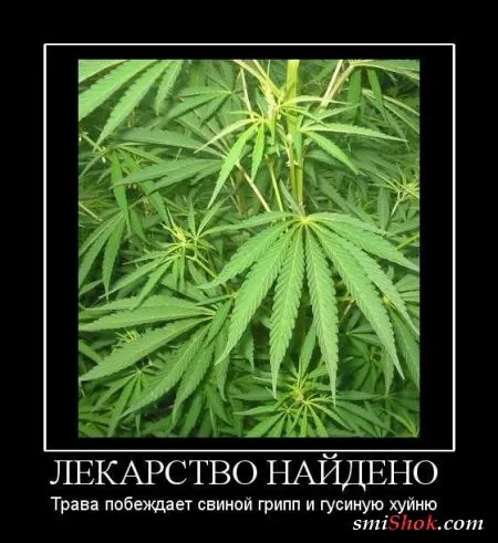Демотиваторы, ну как обычно картинки веселые там в черных рамках...