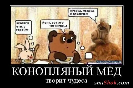 Демотиваторы, ну как обычно картинки веселые там в черных рамках...