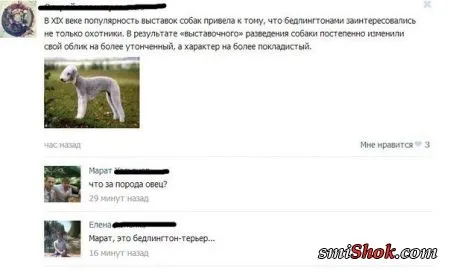 Фото приколы уже есть и настроение появится