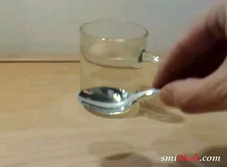 Вода из Москва реки?