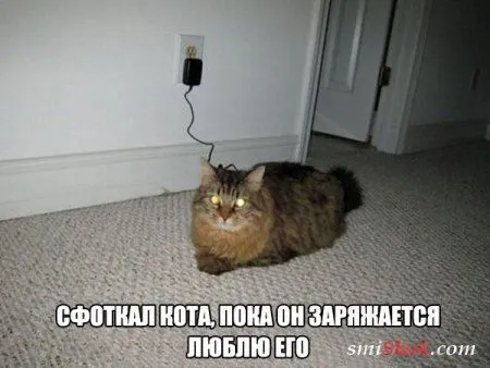 Подборочка Фото приколов для Весеннего настроения