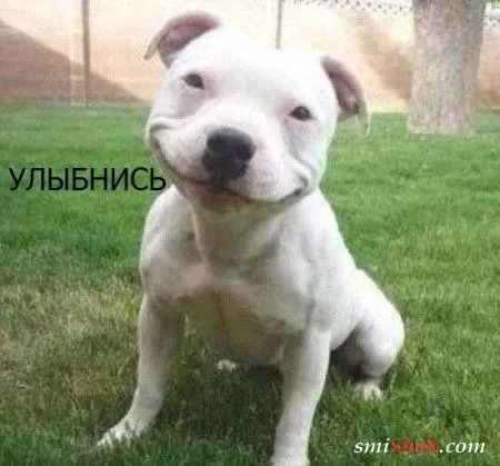 Подборочка Фото приколов для Весеннего настроения