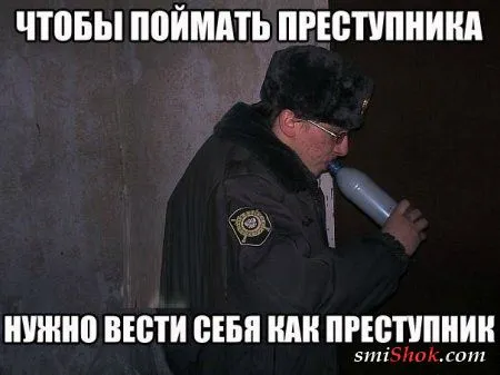 Подборочка Фото приколов для Весеннего настроения