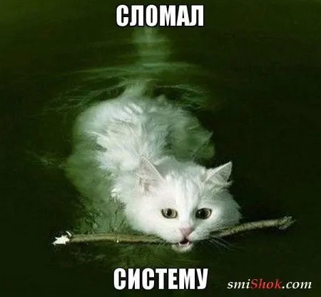 Подборочка Фото приколов для Весеннего настроения