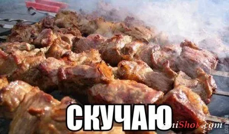 Подборочка Фото приколов для Весеннего настроения