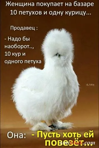 Афоризмы, цитаты и статусы в фотографиях