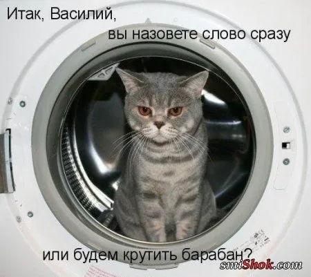 Фото приколы-которые заставят улыбнутся Фото приколы-которые заставят улыбнутся