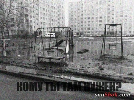 Фото приколы и день будет удачным