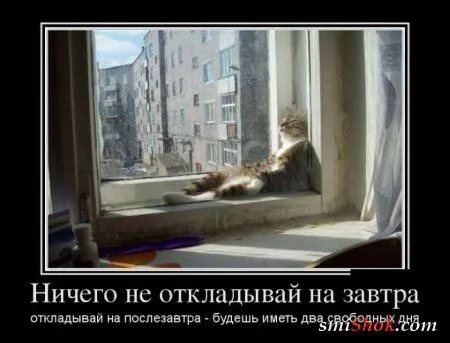 Демотиваторы, не пирожки но тоже свежие