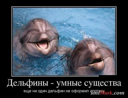 Демотиваторы, не пирожки но тоже свежие