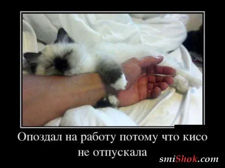 Демотиваторы, не пирожки но тоже свежие