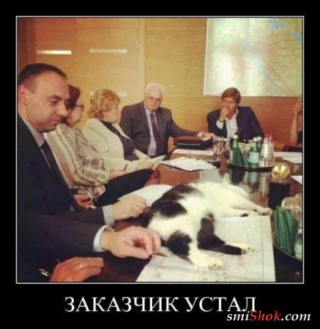 Демотиваторы, не пирожки но тоже свежие