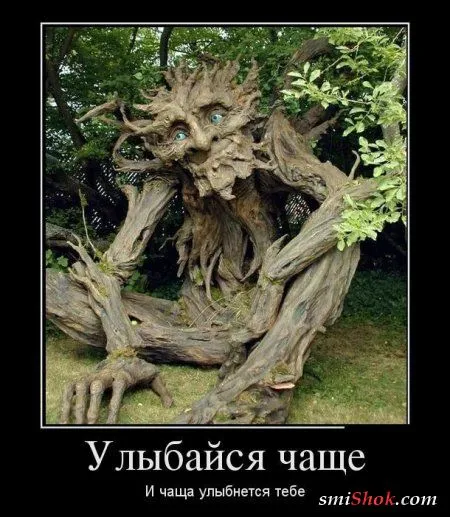 Демотиваторы, не пирожки но тоже свежие
