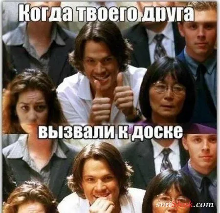 Веселые кадры