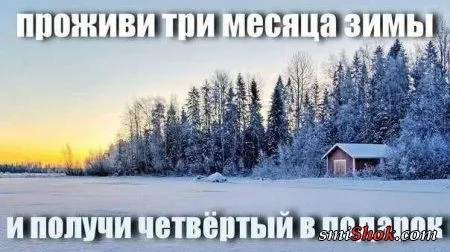 Веселые кадры Веселые кадры