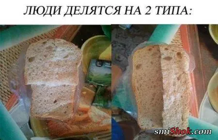 Веселые кадры Веселые кадры