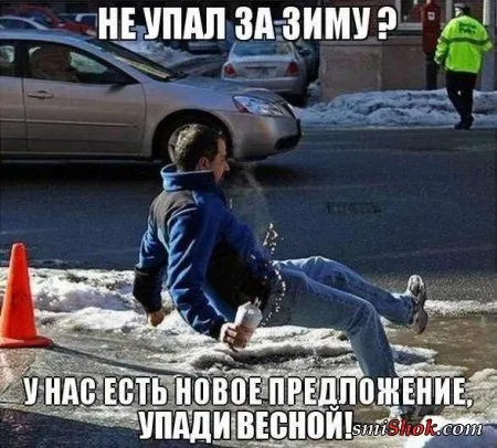 Веселые кадры Веселые кадры