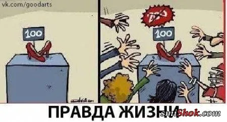 Веселые кадры Веселые кадры