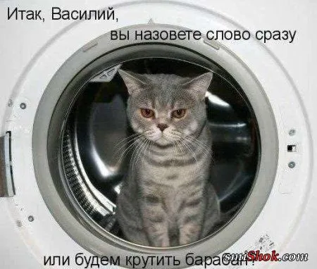 Веселые кадры Веселые кадры