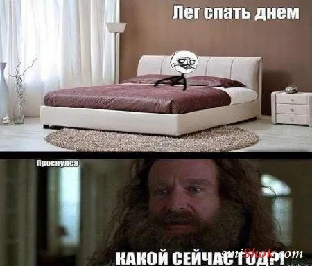 Веселые кадры Веселые кадры