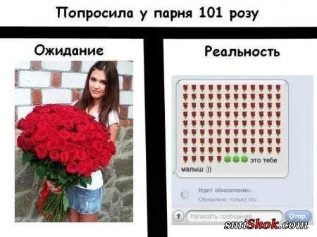 Веселые кадры Веселые кадры