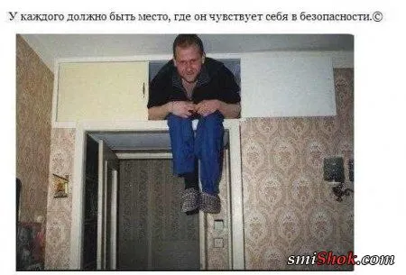 Веселые кадры Веселые кадры