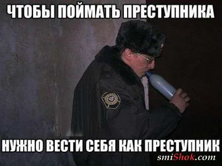 Веселые кадры Веселые кадры