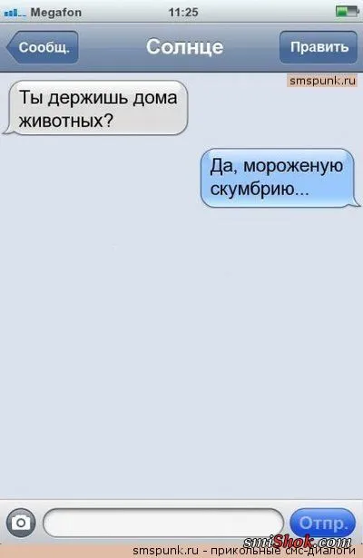 Читать СМС переписки это так весело