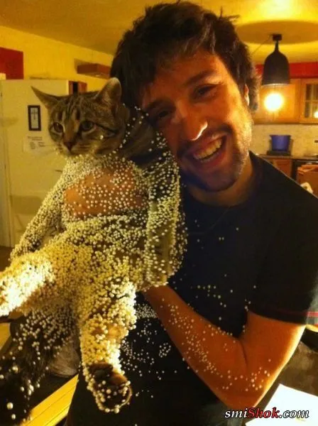 Приключения людей на фотоприколах Приключения людей на фотоприколах