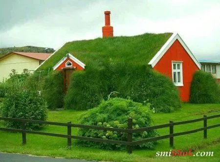 Приключения людей на фотоприколах Приключения людей на фотоприколах