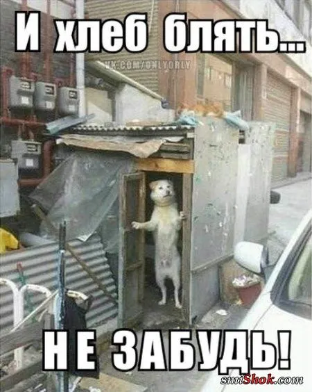 Комиксы это прикольно, тут как бы без вариантов