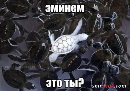 Комиксы это прикольно, тут как бы без вариантов