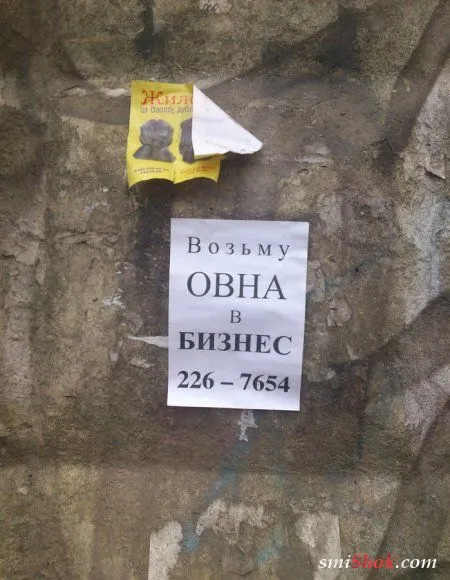 Смотреть приколы на Smiшок.ком оказывается полезно Смотреть приколы на Smiшок.ком оказывается полезно