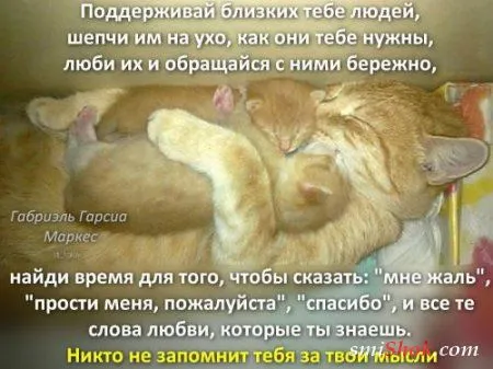 Картинки с афоризмами