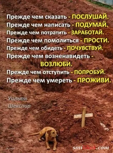 Картинки с афоризмами
