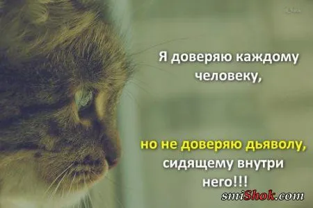 Картинки с афоризмами